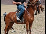 img_8333